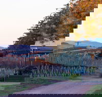 Rowlee Wines - Book Restaurant