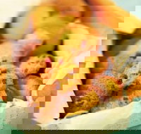 Takeaway Pizza - Book Restaurant