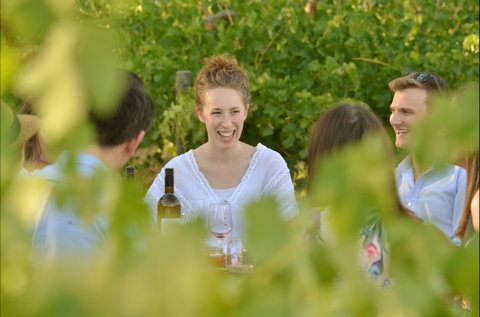 919 Wines - Book Restaurant 2