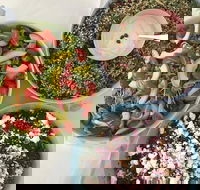 Abbotsford Zest Chargrill Chicken - Book Restaurant