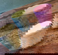 Charlie and Leo's - Book Restaurant