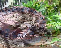 Woombye Takeaway and Woombye Book Restaurant Book Restaurant