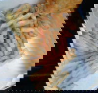 Daily Catch - Book Restaurant