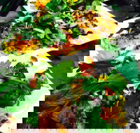 The Local Shed Cafe - Book Restaurant