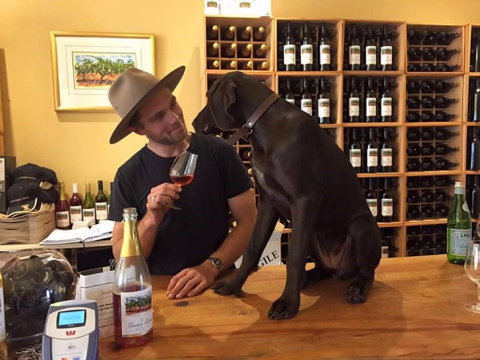 Vinden Estate Wines - Book Restaurant 1