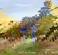 WayWood Wines - Book Restaurant