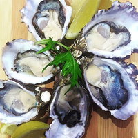 Captain  Co Fish Bar