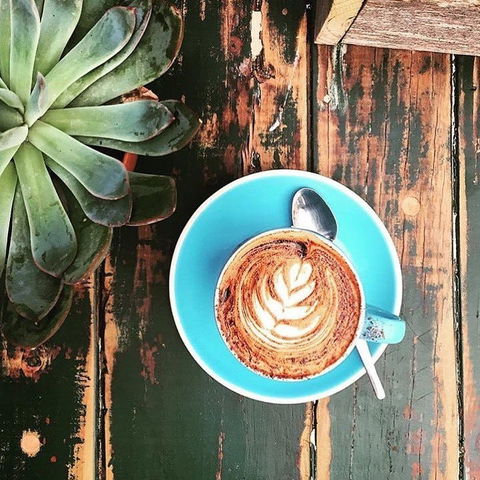 Charlotte's Little Sister - Pennant Hills - Book Restaurant 0