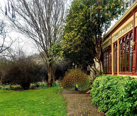 Glen Derwent Tea Rooms - Book Restaurant 0