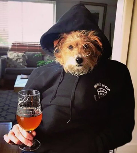 Wild Hop Brewing Company - Book Restaurant 1