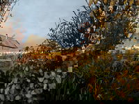 Maslin Beach Takeaway and Maslin Beach Book Restaurant Book Restaurant