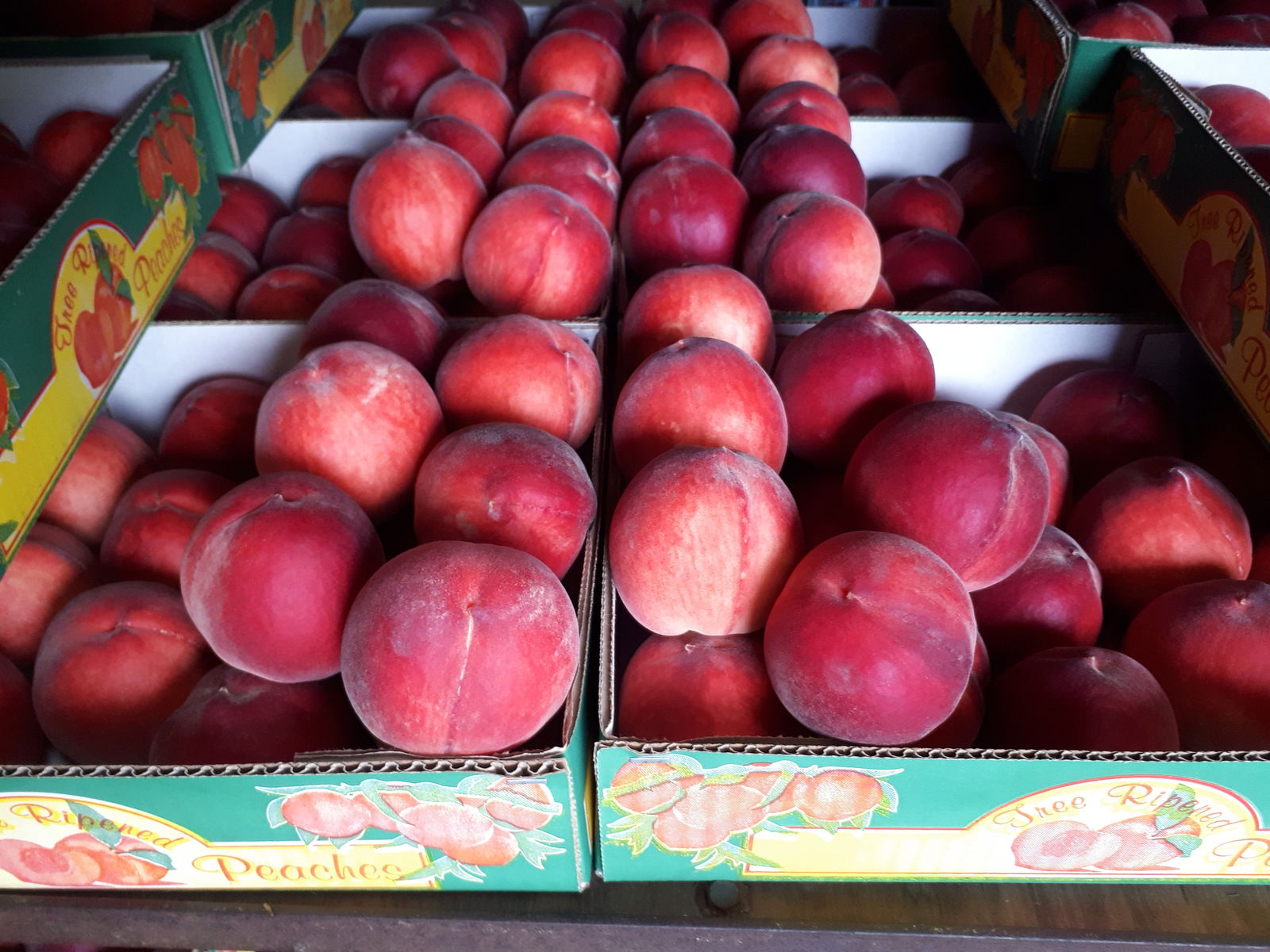 Wandandian NSW Book Restaurant