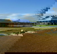 Thomson Brook Wines - Book Restaurant