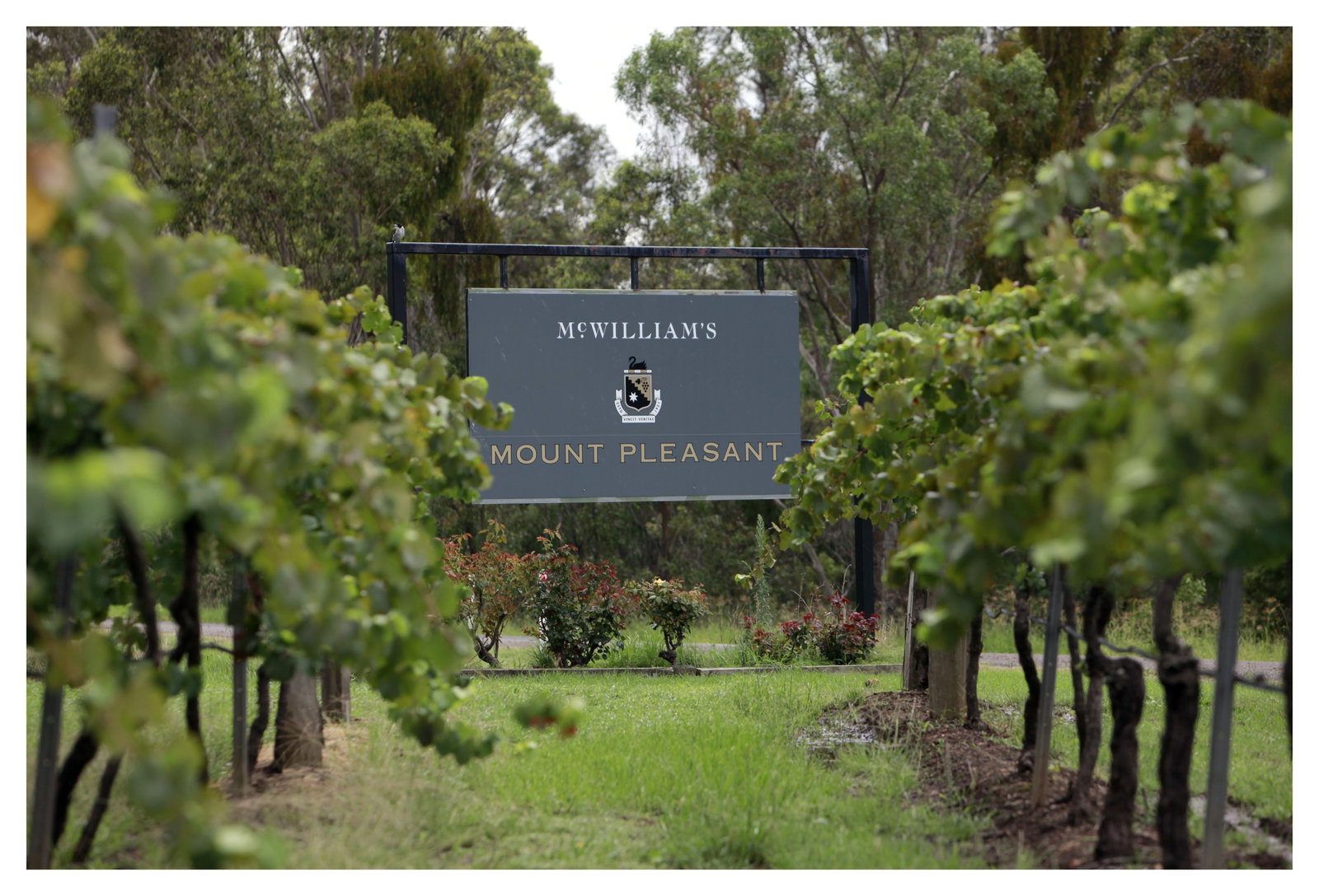 Pokolbin NSW Book Restaurant