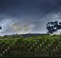 Dalrymple Vineyards - Book Restaurant