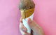 Numi - thumb 0
