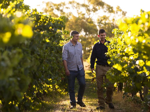 Patrick Of Coonawarra - Book Restaurant 1