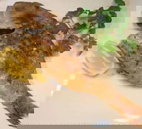 Sassone Cucina Italiana