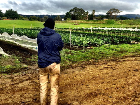 Torello Farm - Book Restaurant 2