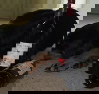 Dog Trap Vineyard - Book Restaurant