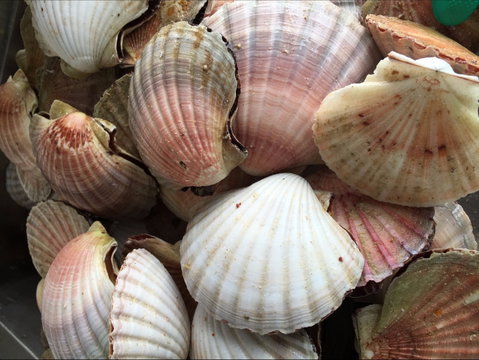 Mi Shells Seafood - Book Restaurant 1