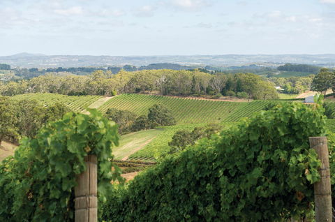 Pike And Joyce Wines - Book Restaurant 2