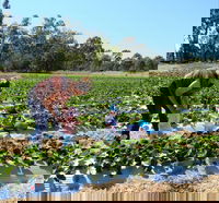 Koonoomoo Takeaway and Koonoomoo Book Restaurant Book Restaurant