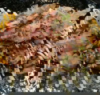 Tori Tori - Book Restaurant