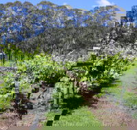 Woongooroo Estate Winery - Book Restaurant