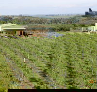 Dindima Wines - Book Restaurant