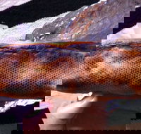 Balmoral Pizzeria - Book Restaurant