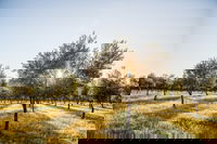 Grattai Takeaway and Grattai Book Restaurant Book Restaurant