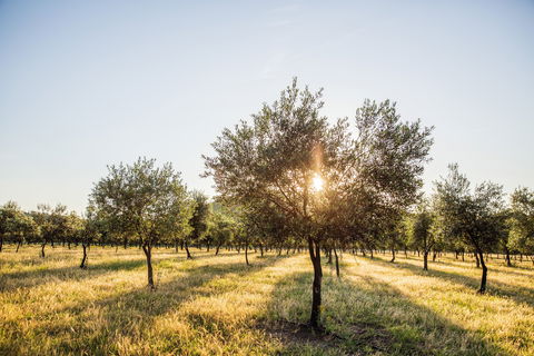 Guneemooroo Estate - Book Restaurant 0