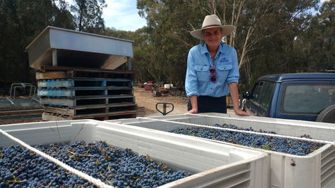 Guneemooroo Estate - Book Restaurant 1