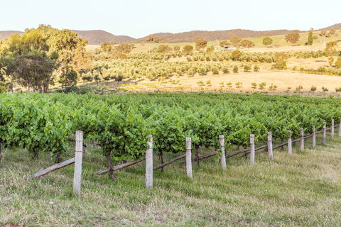 Guneemooroo Estate - Book Restaurant 2