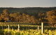 Max & Me Wine Tasting @ Eden Valley Hotel - thumb 1