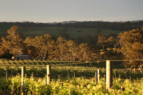 Max & Me Wine Tasting @ Eden Valley Hotel - Book Restaurant 1