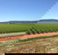 Melange Wines - Book Restaurant