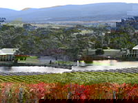Milton Vineyard
