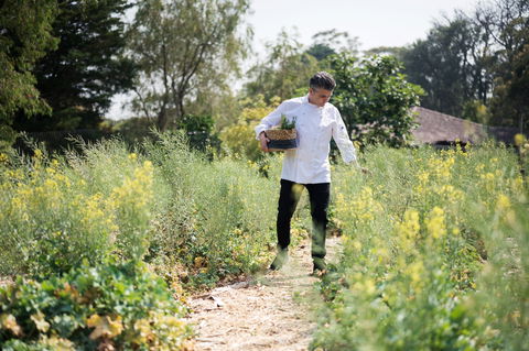 The Wild Flower Bar And Dining - Book Restaurant 2