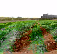 3 Drops - Book Restaurant