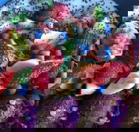 Focus Melbourne - Book Restaurant