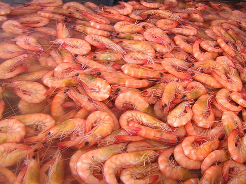 Grunske's By The River Seafood Market And Restaurant - Book Restaurant 0