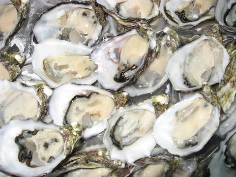Grunske's By The River Seafood Market And Restaurant - Book Restaurant 1