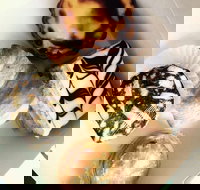 Portuguese Delights - Book Restaurant