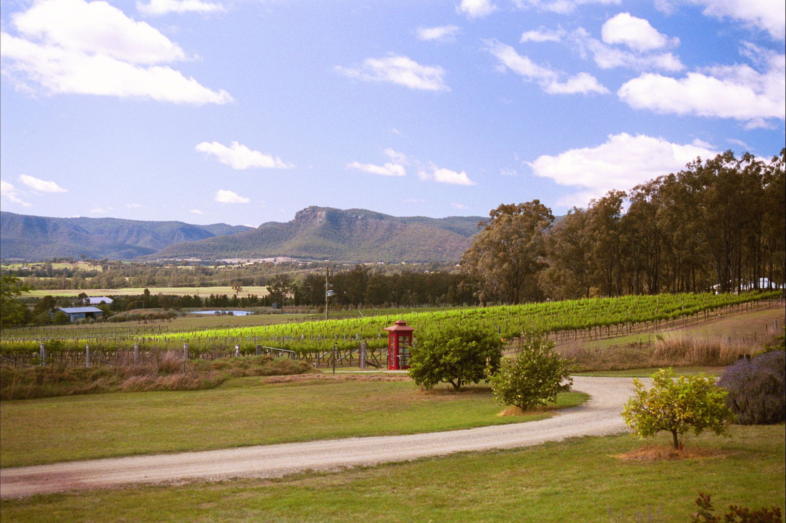 Fordwich NSW Book Restaurant