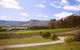 Catherine Vale Wines - thumb 0