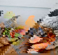 Maisie's Seafood and Steakhouse - Book Restaurant