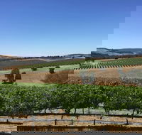 Peerick Vineyard and Winery - Book Restaurant