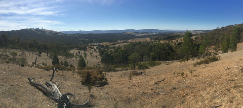 Peerick Vineyard And Winery - Book Restaurant 2